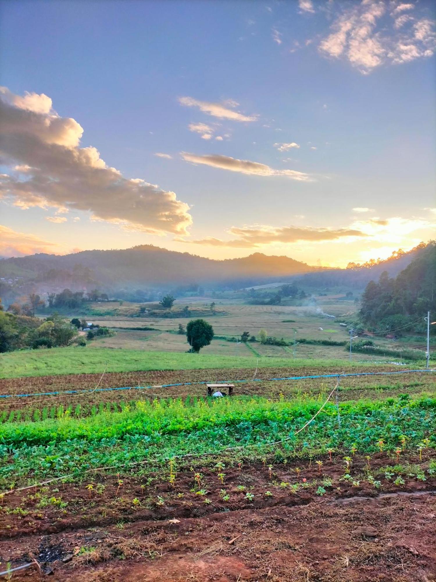 Hotel สวนไร่รุ่งอรุณ Suan Rai Rungarun Ban Na Pa Paek Exteriér fotografie
